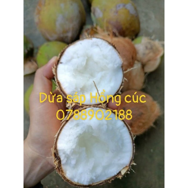 dừa sáp đặc bi 500g-700g