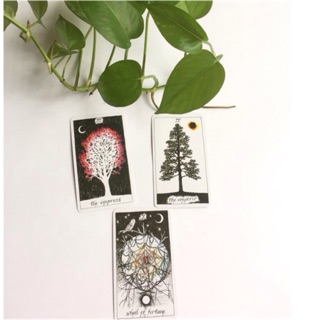 Bài Tarot The Wild Unknown