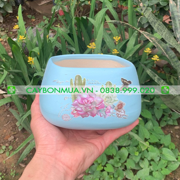 Chậu sứ mini Bát Tràng, trồng cây cảnh, Sen Đá, Xương Rồng kiểu bonsai xinh xắn