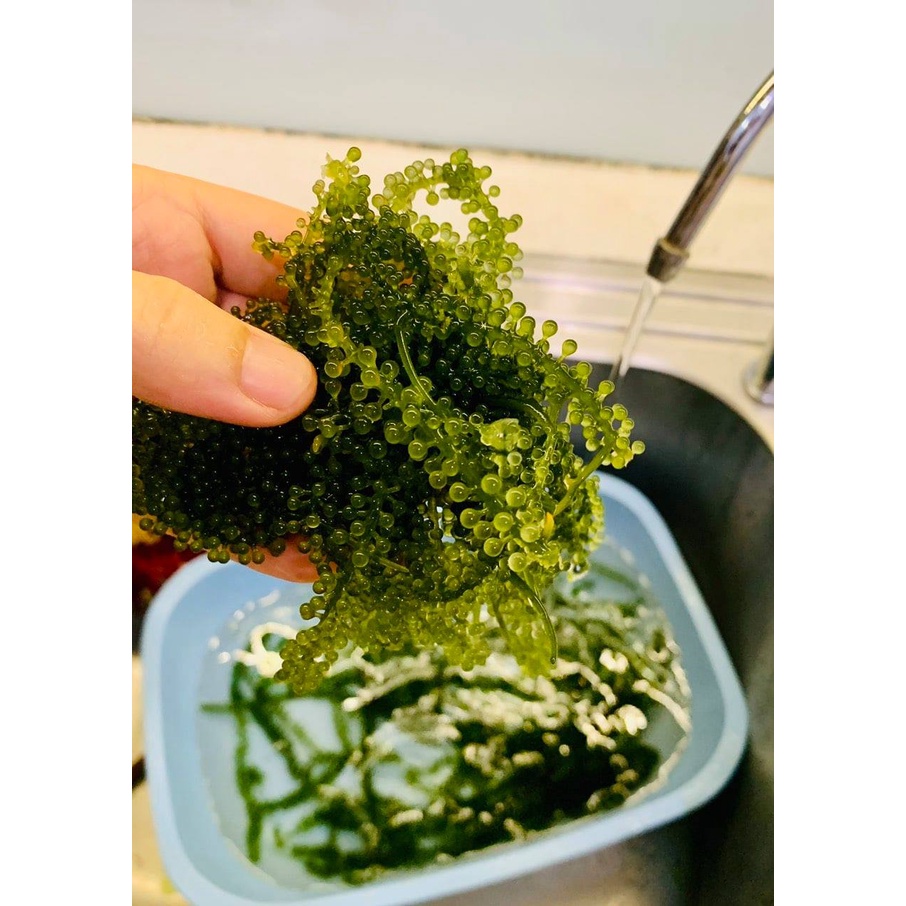 Gói 35gram Rong Nho Tách Nước Tasami Công Nghệ Tách Nước Tiêu Chuẩn Nhật Bản