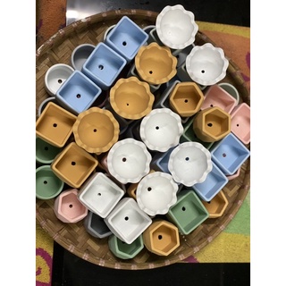 Chậu sen mini