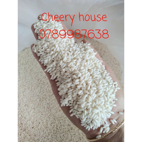 1kg Nếp sáp ngỗng loại 1