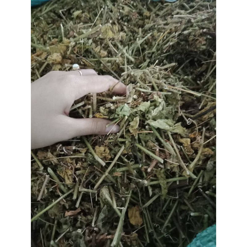 LẠC TIÊN KHÔ (Giúp an thần, ngủ ngon)