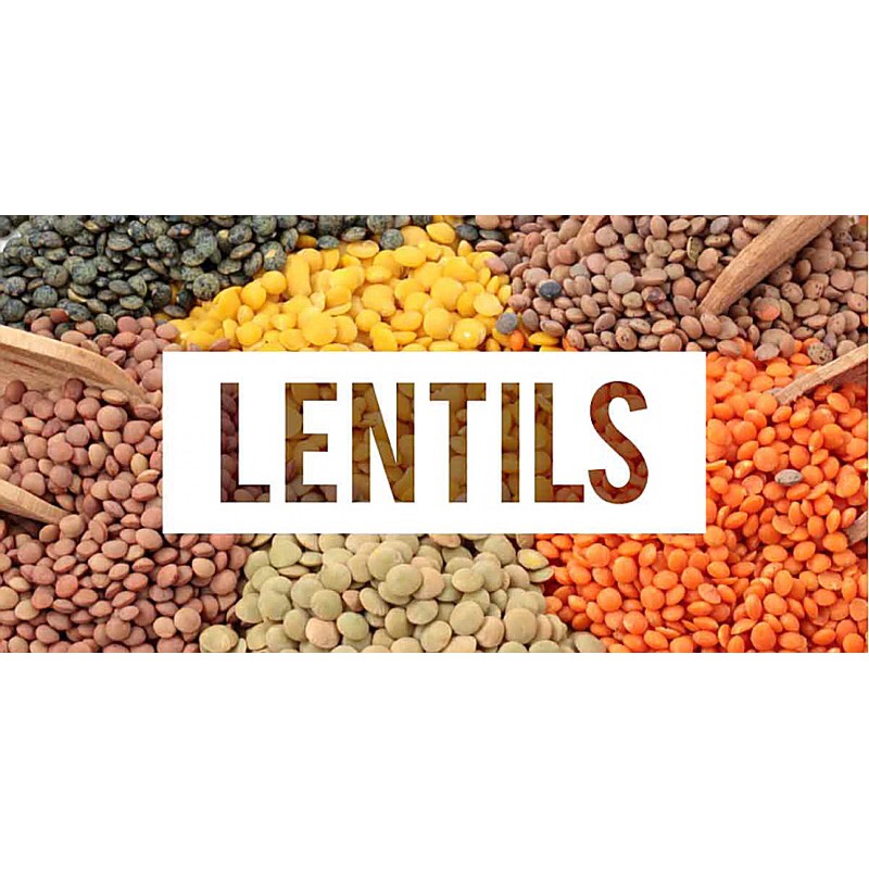 Đậu lăng đỏ nguyên hạt (Red lentils)