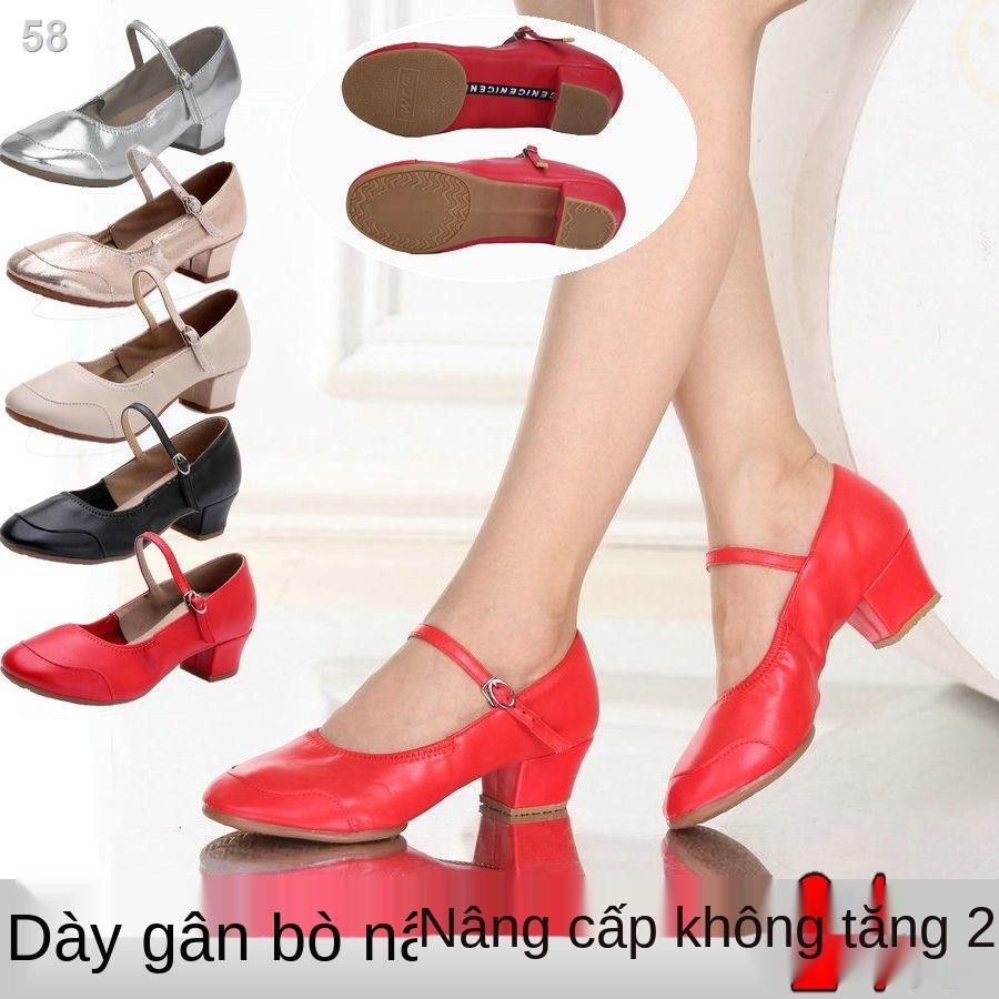 Giày khiêu vũ vuông bốn mùa nữ đế mềm giữa người lớn Latin đơnY
