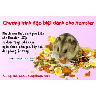 Thức ăn Hamster 500g - Cơ bản