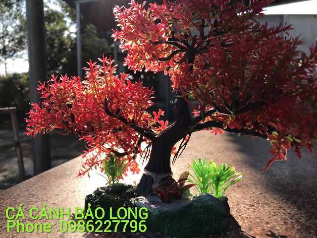 Cây bonsai nhựa trang trí bể cá ( Cá cảnh Bảo Long)
