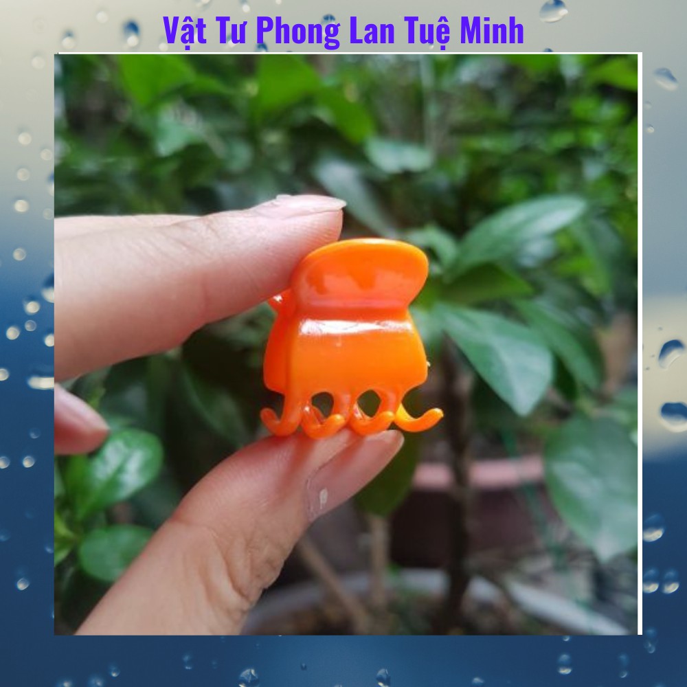 Combo túi 1000 kẹp cam đại loại đẹp chuyên cho lan thân phi to, thân nù