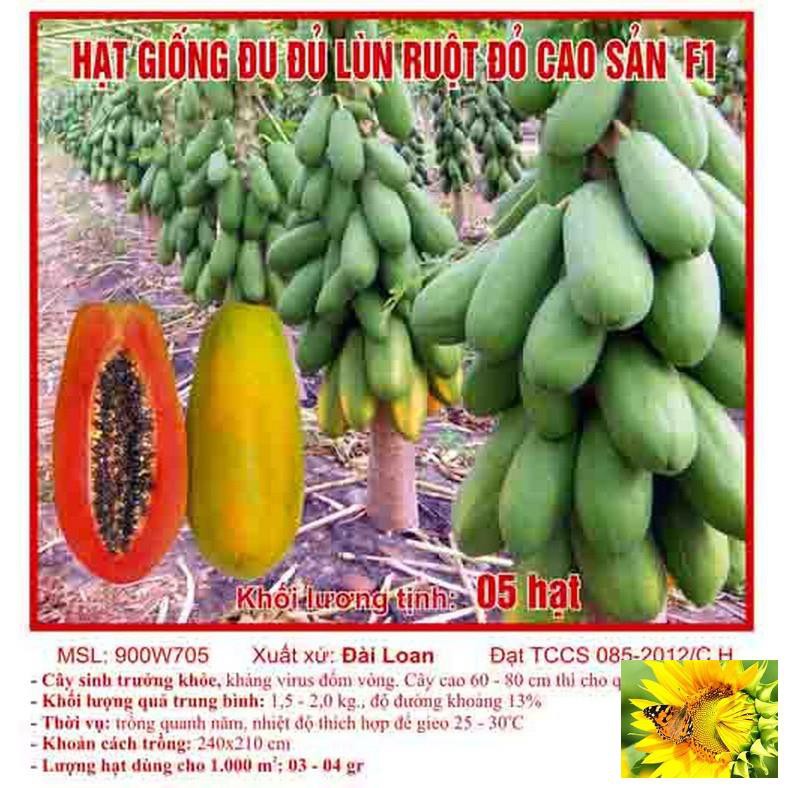 Hạt giống đu đủ lùn cao sản, siêu trái