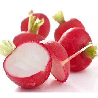 Hạt Giống Củ Cải Đỏ Mini