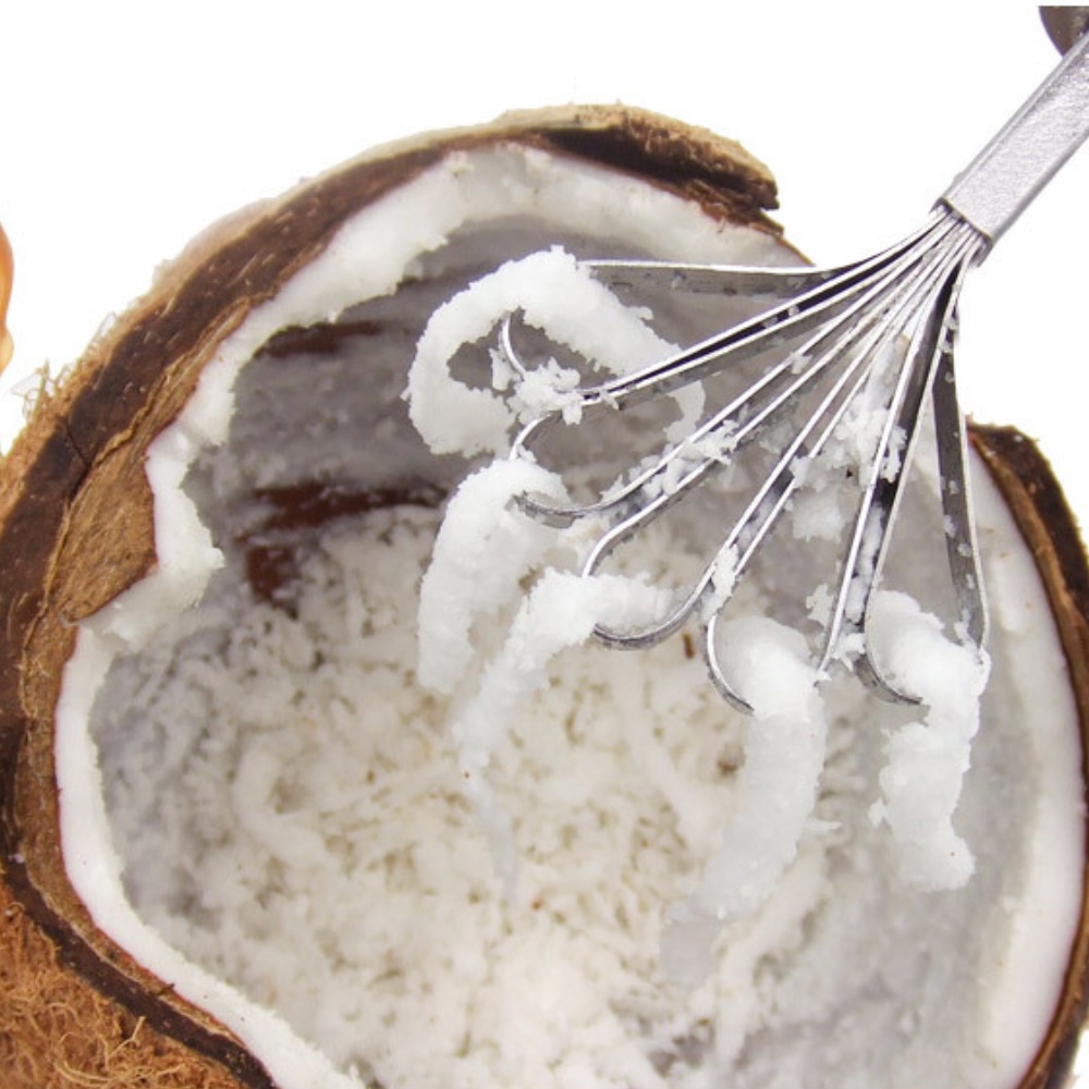 Dụng cụ nạo dừa đánh vảy cá đa năng chất liệu Inox