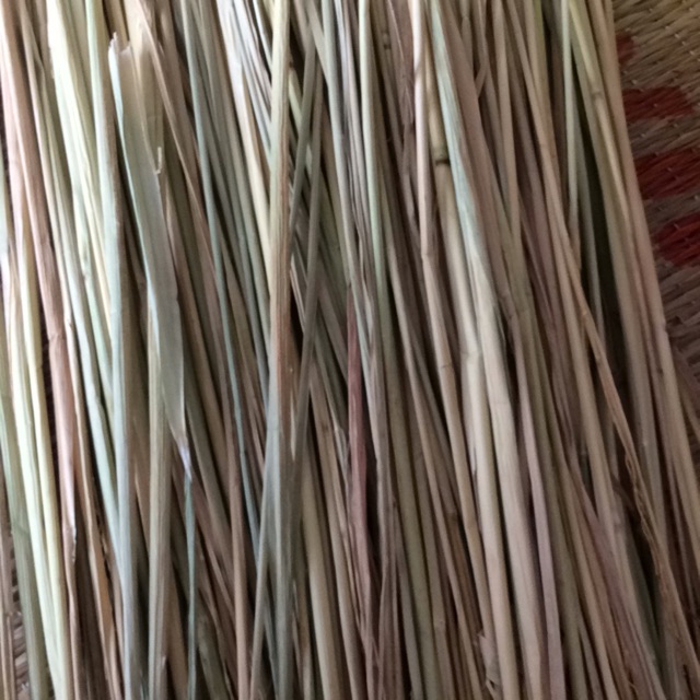 Cỏ khô trang trí mô hình 20gr