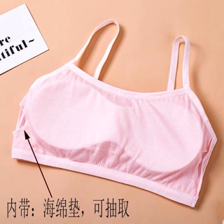 Bra thỏ học sinh chất đẹp