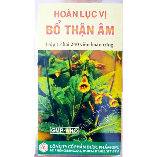 Hoàn lục vị Bổ thận âm