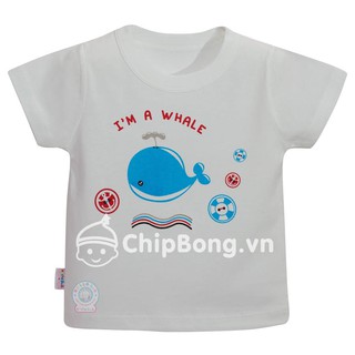 Áo Tay Ngắn Cổ Bo Bé Trai - Hello bb