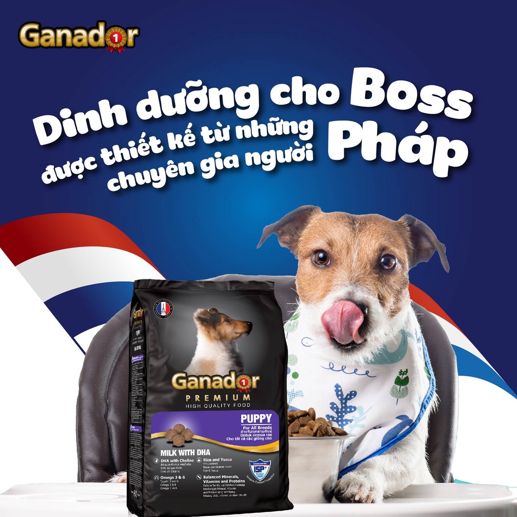 Thức ăn cho chó con vị sữa Ganador Puppy Milk with DHA 400g