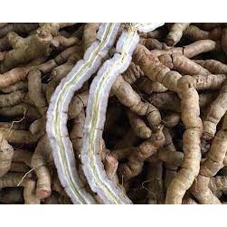 Ba kích khô ngâm rượu đã tách ruột rút lõi về chỉ bỏ vô rượu làm ngâm