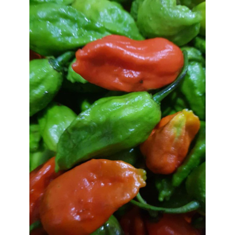 Ớt Trung Đoàn Xóc Muối