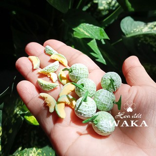 Mô hình Trái Dưa Lưới Mini- Rau Củ Quả Mini 1/12