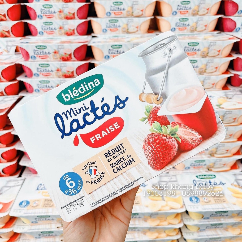 Sữa chua Bledina Pháp 6h*60gram