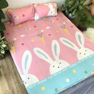 Set ga gối cotton poly( được chọn mẫu)