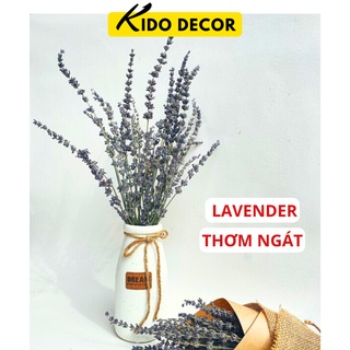 Hoa khô trang trí oải hương Pháp bó 30 cành , hoa lavender thơm ngát decor bìnnh và lọ hoa KIDO