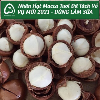 Nhân Macca Tươi Đã Tách Vỏ - Dùng Làm Sữa - Macca Đaklak vụ mới 2021 - An's Green Farm (500g)