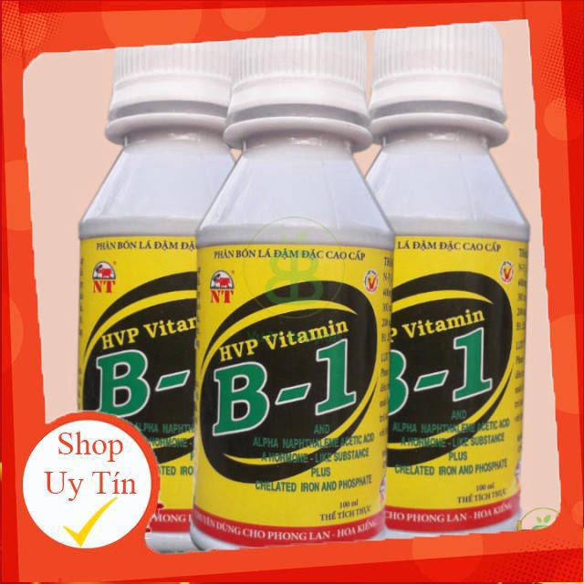 - Phân Bón Lá Vitamin B1 Chuyên Cho Phong Lan 100ml chất lượng.