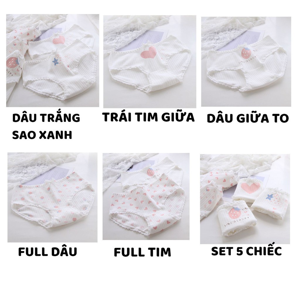 Quần Lót Nữ - Quần Lót Nữ Cotton tông trắng gân hồng đáng yêu DAN STORE Mã 0749