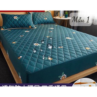 Ga chống thấm thế hệ mới, mặt Trần bông, bọc đệm.