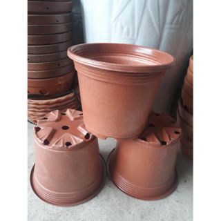 Chậu ươm cây đường kính 17cm