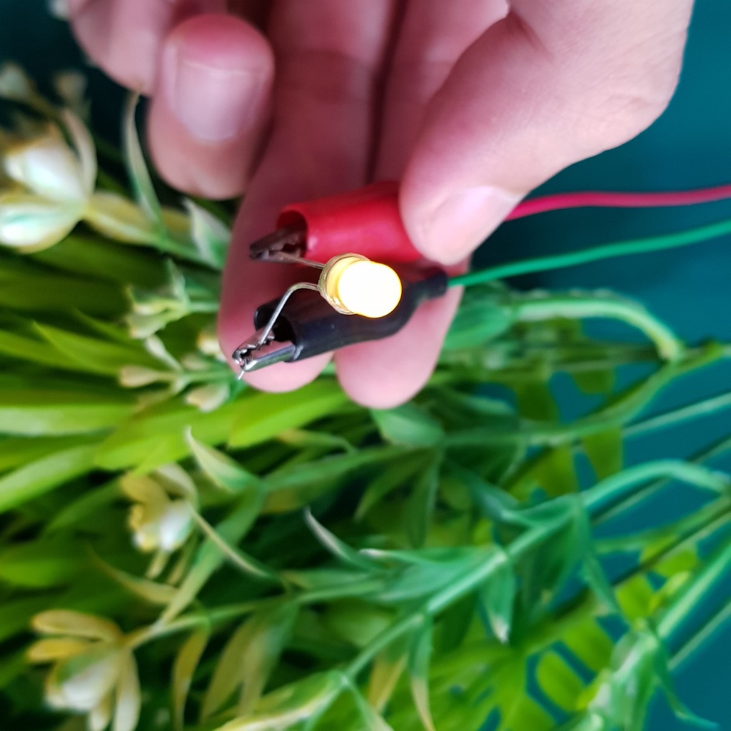 Led 5MM Phủ Vàng ( Số Lượng 10 chiếc )