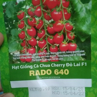 Hạt giống cà chua cherry đỏ lai F1