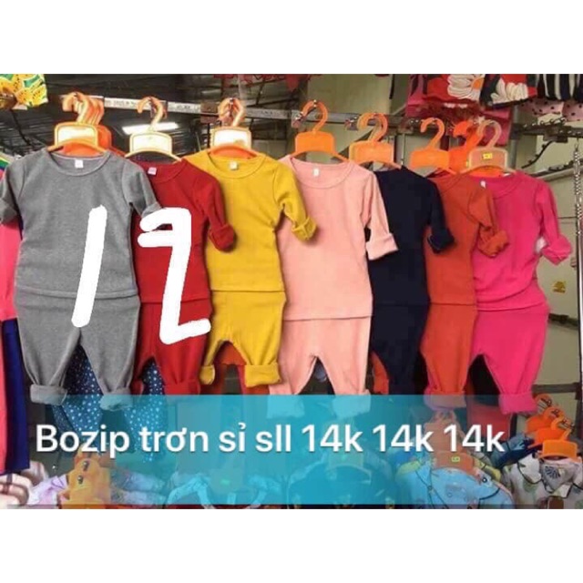 50b bozip trơn