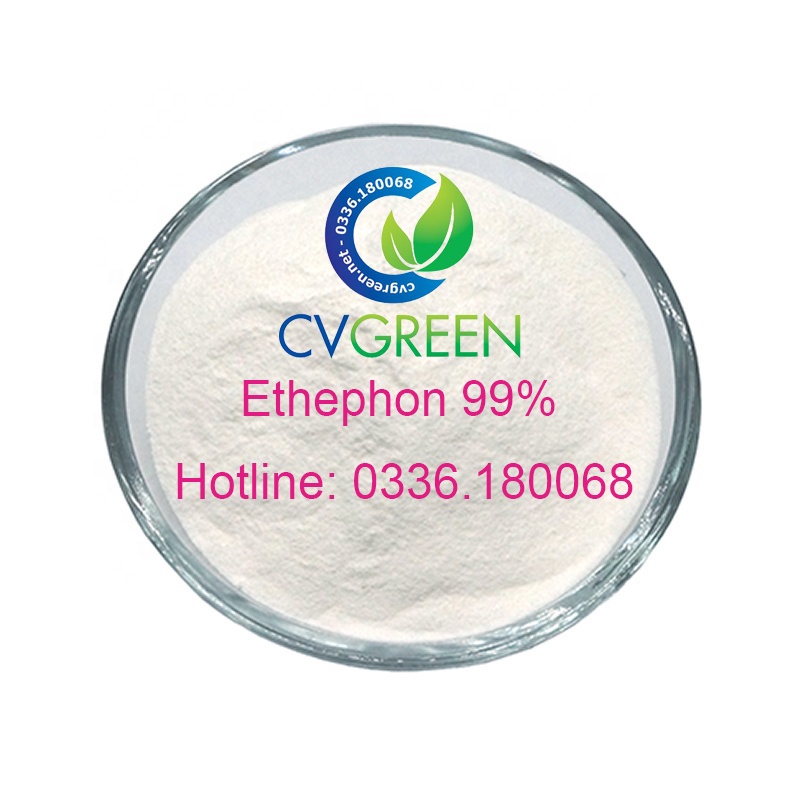 Ethephon 99% làm chín trái cây (Điều khiển ra hoa, Thuốc làm rụng lá cây) gói 100g