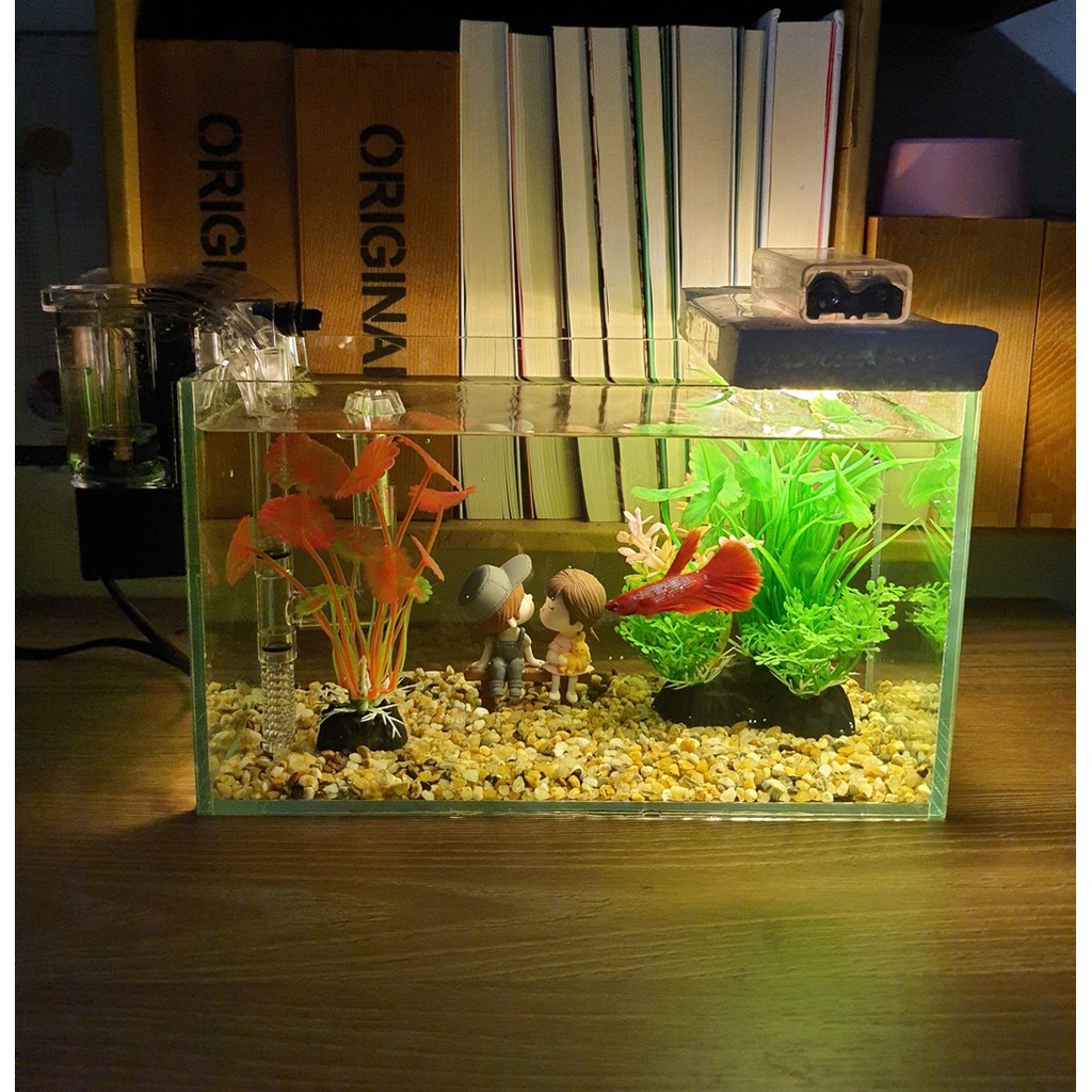 Bể cá mini 24 cm với 7 món (bể 24 mài nhẵn, sỏi nền, máy lọc, cây nhựa mini và vừa, đèn led xốp, pk cặp đôi ngồi ghế)