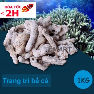 SAN HÔ ( 1KG ) loại đẹp, vật liệu lọc,trang trí bể cá, tăng độ PH giúp cá lớn phát triển mạnh, lớn nhanh ( Màu trắng)