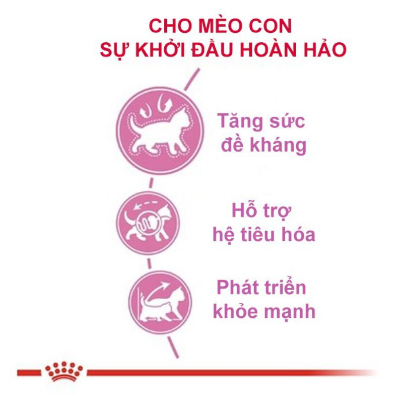 Royal Canin Kitten 36 Hạt Cho Mèo Con 4-12 Tháng