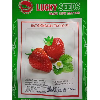 HẠT GIỐNG DÂU TÂY ĐỎ F1