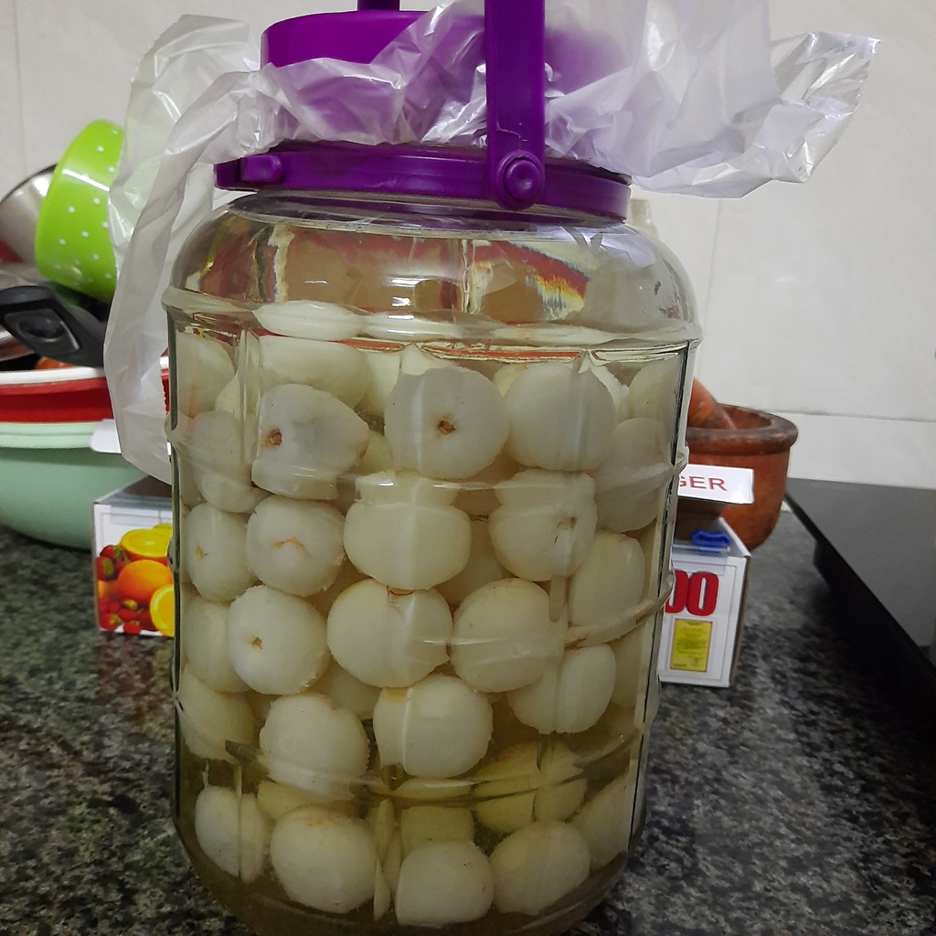 Bình thủy tinh xách tím 8 lít không vòi