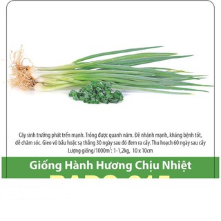 Hạt Giống Hành Hương Chịu Nhiệt 2gr