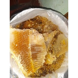 Sáp ong rừng Tây Bắc