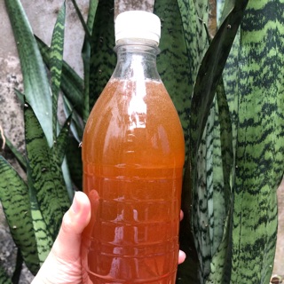 1 lít Mật ong hoa nhãn handmade