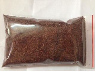 Hạt Đình lịch/ Hạt ngũ hoa (1kg) 145000