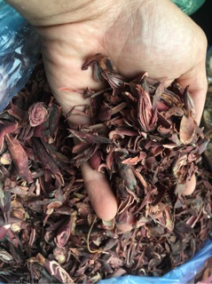 [GIÁ BÁN BUÔN] 1kg SÂM ĐẠI HÀNH (KHÔ, SẠCH, ĐỎ, HÀNG MỚI)