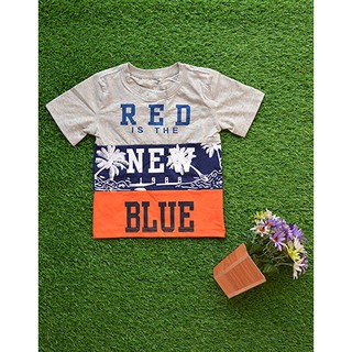 Combo bộ bé gái + áo lẻ bé trai