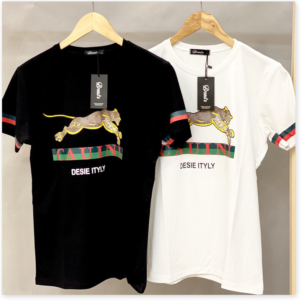 Áo Thun Tay Ngắn Không Cổ | Áo Phông Phối Màu Free Style# HP