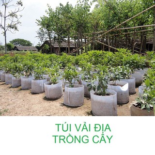 ⚡ SIÊU RẺ ⚡ TÚI VẢI TRỒNG CÂY. Sản phẩm tiện ích cho cuộc sống dễ dàng