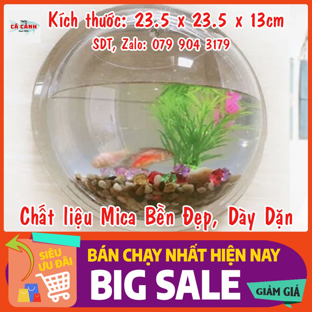 Bế Cá Cảnh Mini Treo Tường Tròn AQUARIUS (23.5 cm x 23.5 cm x 13 cm) [TẶNG KÈM PHỤ KIỆN]