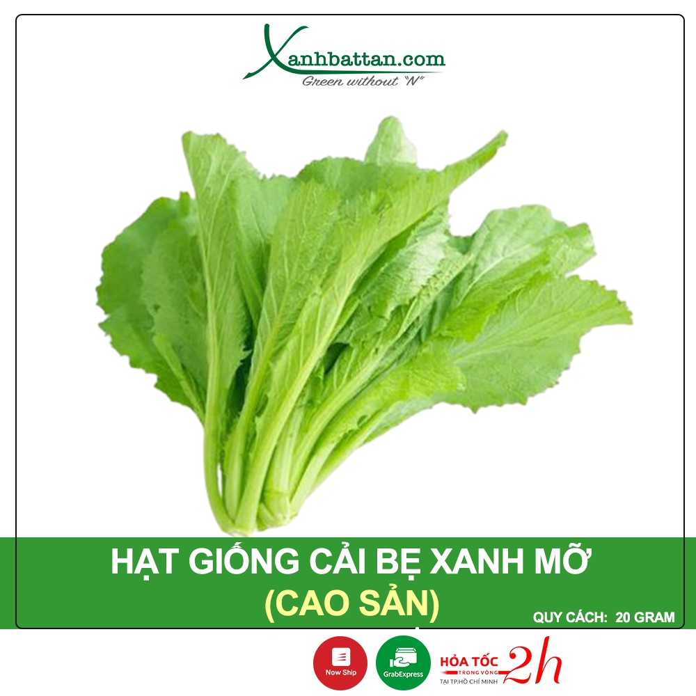 Hạt Giống Cải Bẹ Xanh Mỡ Phú Nông Gói 20 Gram